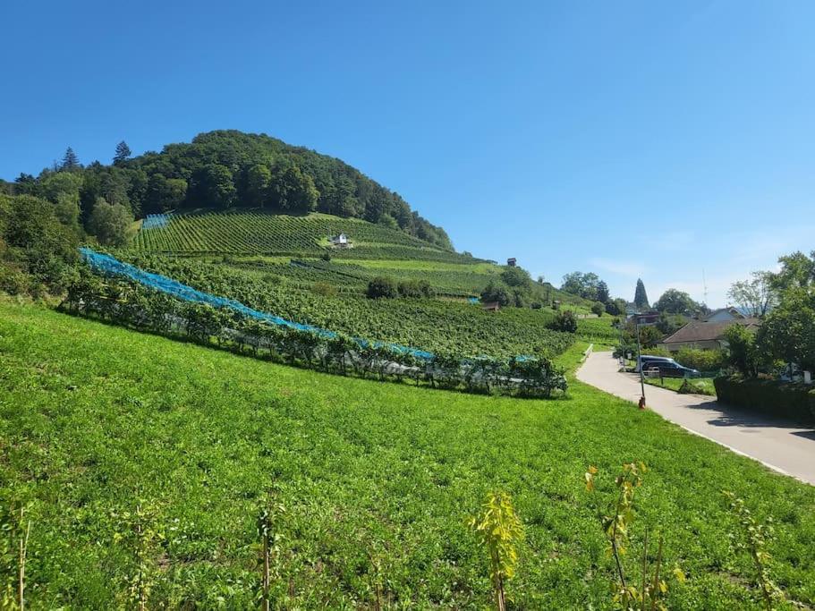 Schoene Einliegerwohnung 200M Vom Wasser Entfernt Stein Am Rhein Exterior foto